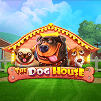 The  Dog  House